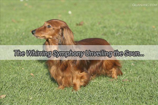 The Whirring Symphony Unveiling the Sound of a Dogs Running Muscles